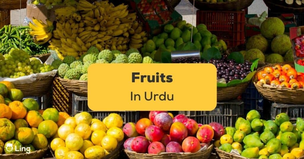 FRUITS Name in Urdu, names in Telugu, green, yellow, red, Y fruit, D SE, We have provided a comprehensive guide to help you understand.